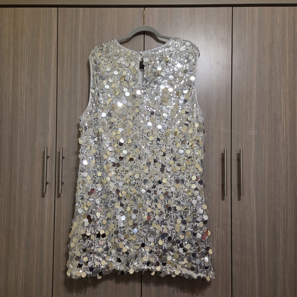 Silver Sequin Sleeveless Dress - Picture 3 of 7